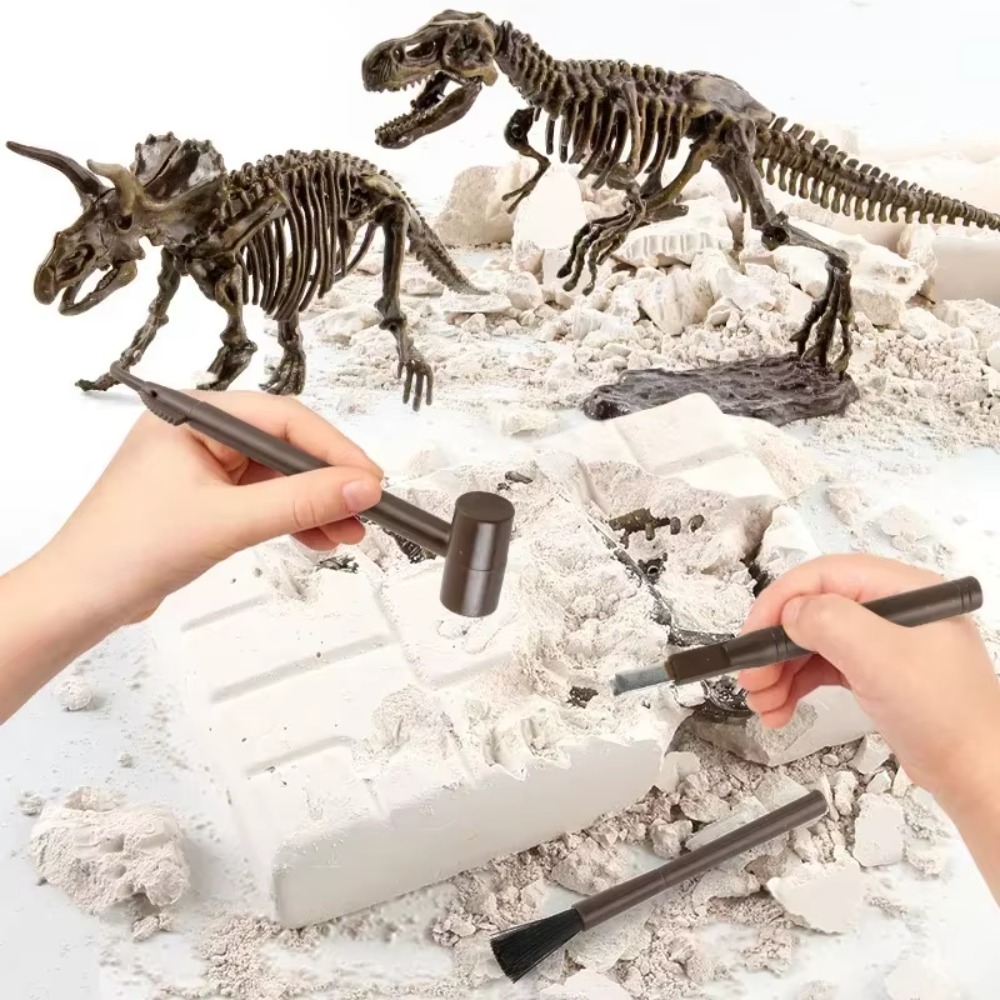 Model Kit Dinosaur Bandai - Dinosaur Fossil Excavation Kits Education Archeology