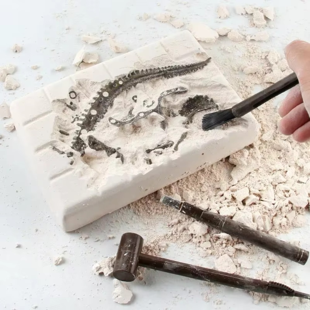 Dinosaur Fossil Excavation Kit - Model Kit Dinosaur Bandai review and price