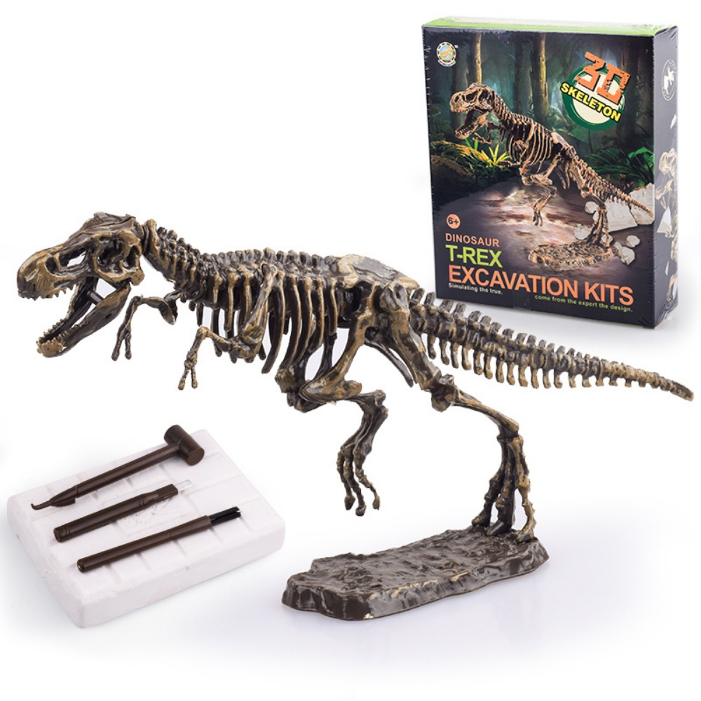 Dinosaur Fossil Excavation Kit - Model Kit Dinosaur Bandai review and price