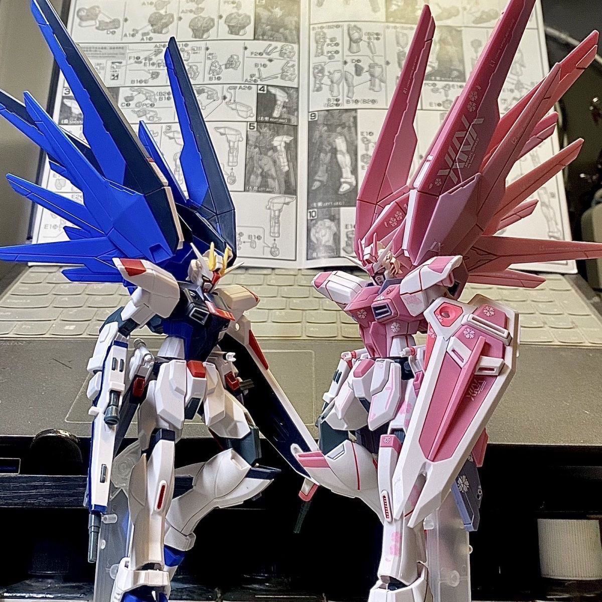 Gundam Xingdong XD Sakura Pink - Model Kit Eva review and price