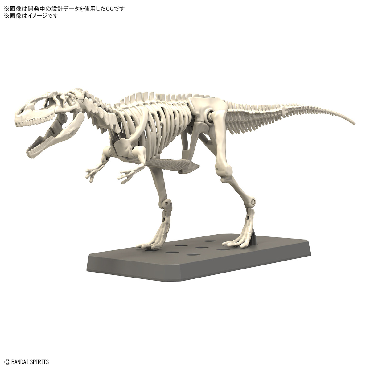 In Stock Originate BANDAI PLAN - Model Kit Dinosaur Bandai review and price