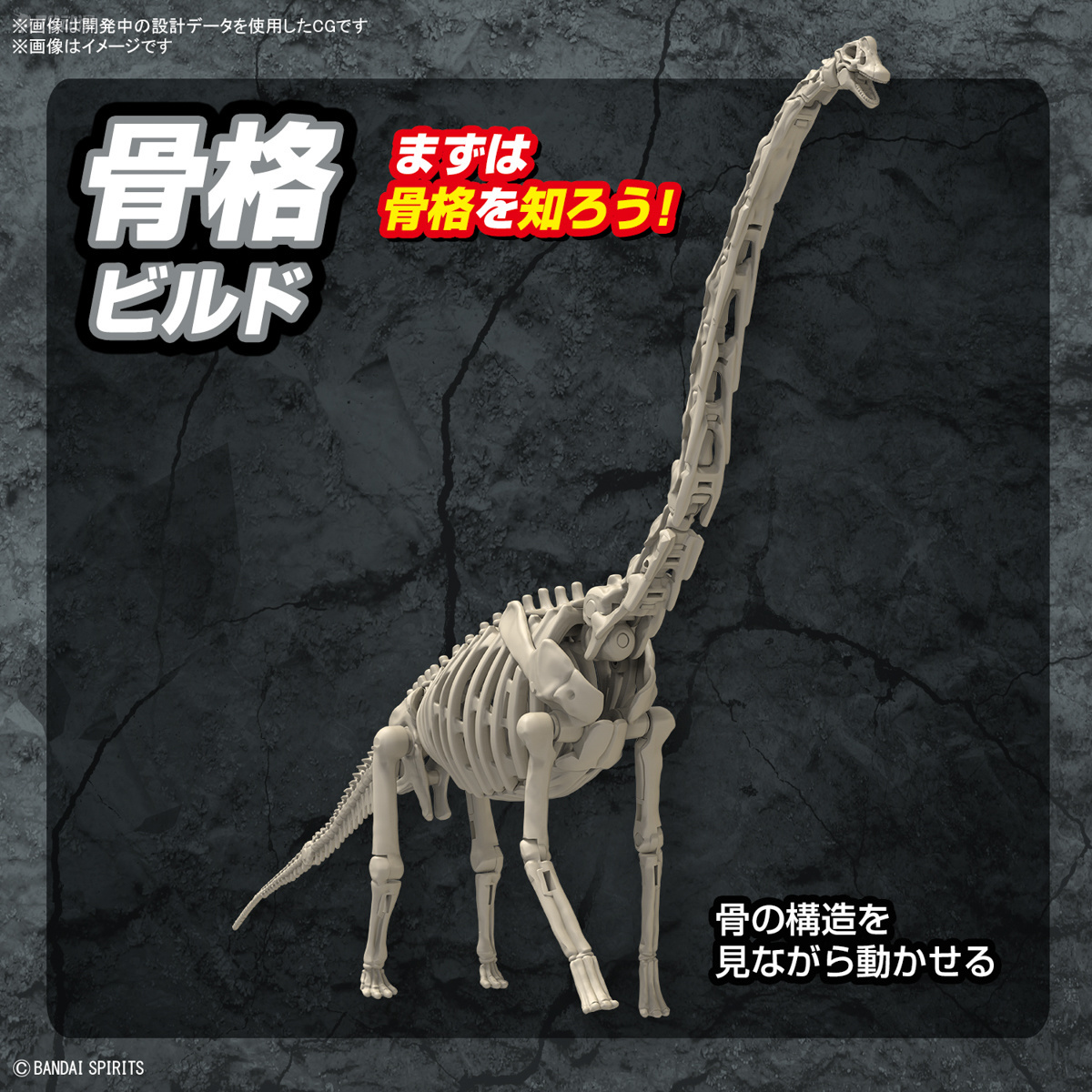 In Stock BANDAI PLANNOSAURUS B - Model Kit Dinosaur Bandai review and price
