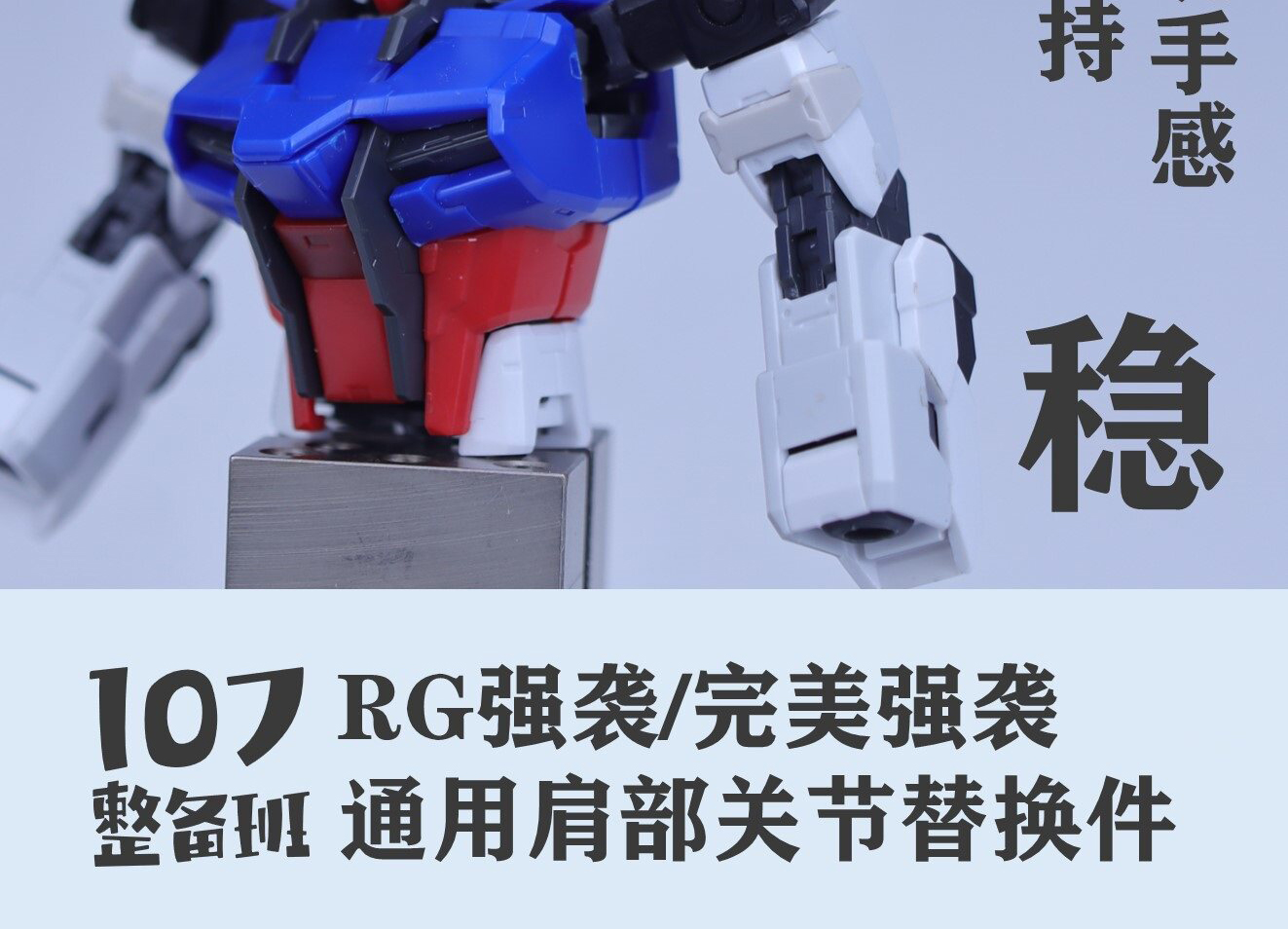 107 Series RG Strike Perfect S - Model Kit Rg review and price